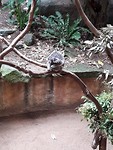 IMG-20191123-WA0027