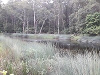IMG-20191123-WA0020