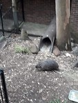 IMG-20191123-WA0017