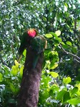 IMG_20191123_165237