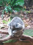 IMG_20191123_165314