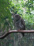 IMG_20191123_165749