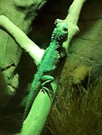 IMG-20191123-WA0031