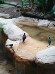 IMG_20191123_165403