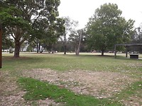 IMG-20191123-WA0010