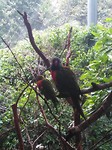 IMG_20191123_165425