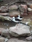 IMG-20191123-WA0006