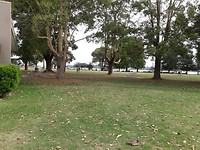 IMG-20191123-WA0012