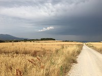 Fascinerend! Onweer dreigt, maar komt niet!