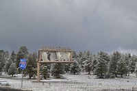 DSC_0435