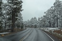 DSC_0455