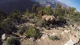 Elken in Grand Canyon