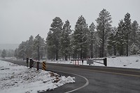 DSC_0661