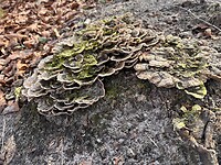 IMG_3196