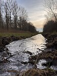 IMG_3197