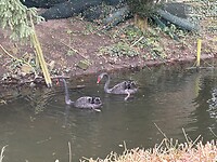 IMG_3250