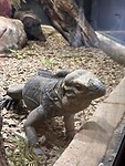 IMG_3462