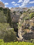 IMG_3505
