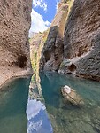 IMG_3519