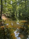 IMG_3700