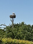 IMG_3717