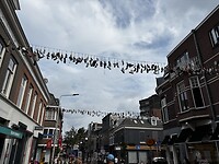 IMG_3868