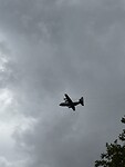 IMG_3901