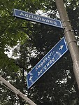 IMG_3923