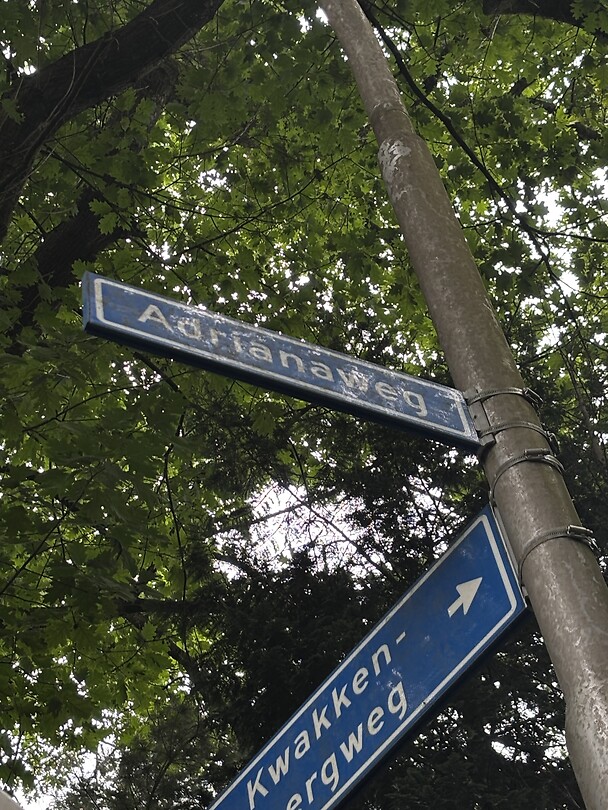 IMG_3924