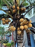 IMG_4358