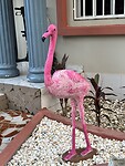 IMG_4362