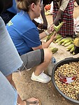 IMG_4454