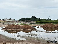 IMG_4461