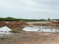IMG_4460
