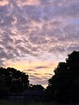IMG_4539