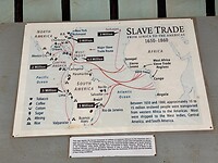 IMG_4597