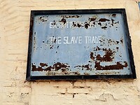 IMG_4660