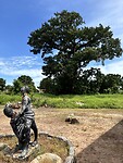IMG_4661