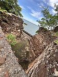 IMG_4697