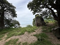 IMG_4703