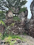 IMG_4711