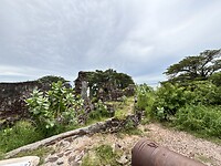 IMG_4721