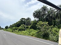 IMG_4739