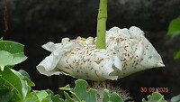 DSC01755