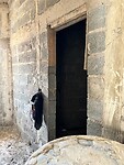 IMG_4947