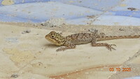 DSC01765