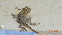 DSC01771