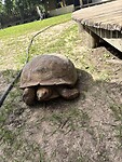 IMG_5009