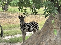 IMG_5014