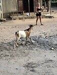 IMG_5183